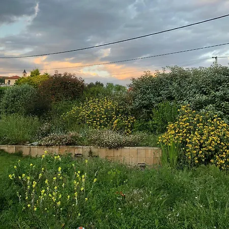 Sea View In The Hills Of Nicea